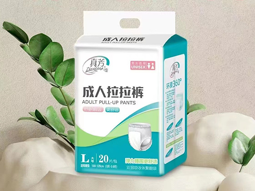 成人拉拉裤L 20片