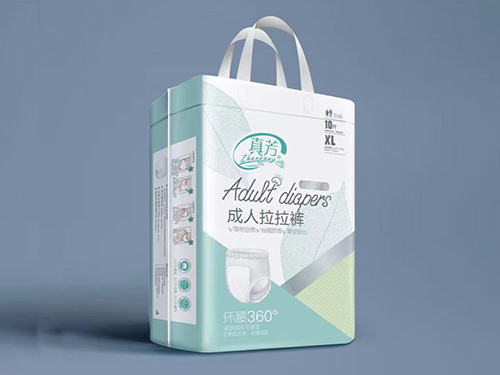 成人拉拉裤XL10片